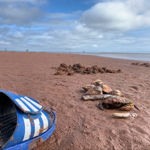 Meet your Posher, Yuan